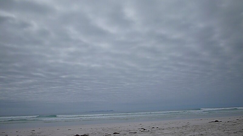 File:Tortuga Bay - Island of Santa Cruz, Galapagos.JPG