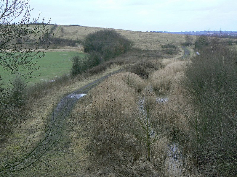 File:Transpennine Trail - geograph.org.uk - 1709182.jpg