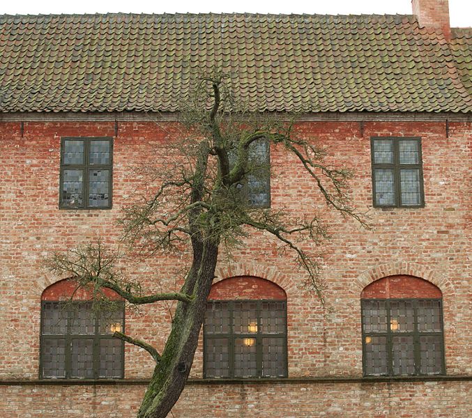 File:Tree and house - panoramio.jpg