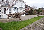 Thumbnail for File:Tree branch art at Cara Puncha, The Square. Blackrock - geograph.org.uk - 6088629.jpg