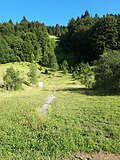 Vignette pour Tremplin de la Chirurgienne