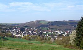 View of the Trier-Irsch district