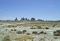 The Trona Pinnacles near Seales Lake