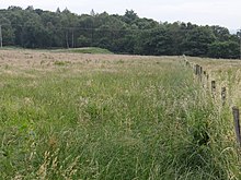 Tumulus ליד Maners Wood (גיאוגרפי 3036637) .jpg