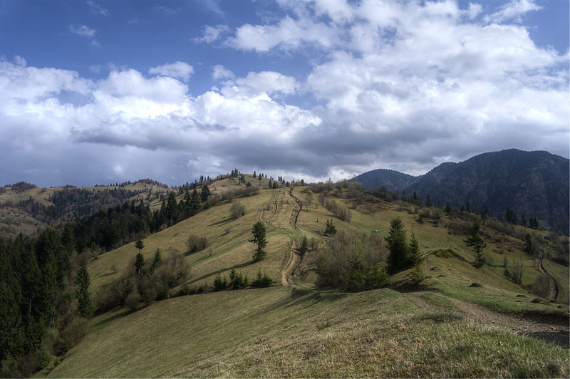 File:Ukrainian Carpathians 01.jpg