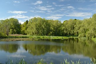 Undla veskijärv (Loobu jõgi) .JPG