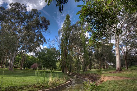 Telopea Park viewed along the stormwater drain from south to north Views of Telopea Park in Canberra IMG 8566 ff StrongDefault.jpg