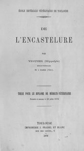 Hippolyte Viguier, De l’encastelure, 1870    