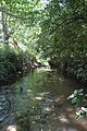 Vista del río Ungría (Valdesaz).