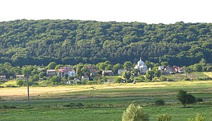 Центральна частина села (вигляд з Малих Грибович)