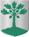 Wappen von Vriezenveen