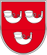 Coat of arms of Braunshorn