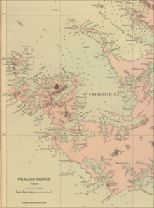 1901 detailed nap of the Weddell Island area featuring Carew Harbour