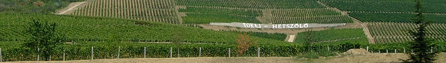 Tokaj page banner