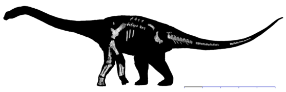 October 26: Wintonotitan wattsi.