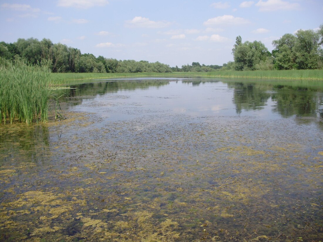 Zasavica (réserve naturelle)