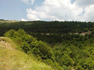 Zavoj Lake, Pirot