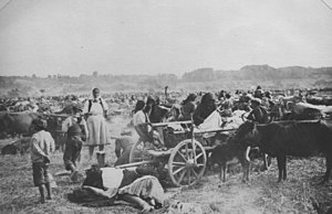 Беженцы во время Битвы на Козаре, 1942 год
