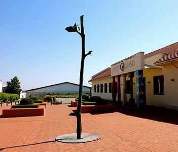 Fountain "Grapevine" for the wine culture center Shabo, Odessa region