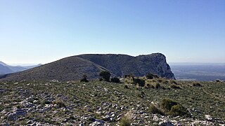 Blick vom Puig d’en Pelat im Osten auf den Bergrücken des Ferrutx