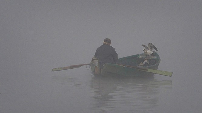 Lake Pamvotis Photograph: Jennikann (CC BY-SA 4.0)