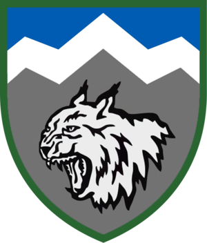 Нарукавний знак 108-й окремий гірсько-штурмовий батальйон.png
