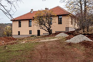 Негрево: Географија и местоположба, Историја, Стопанство