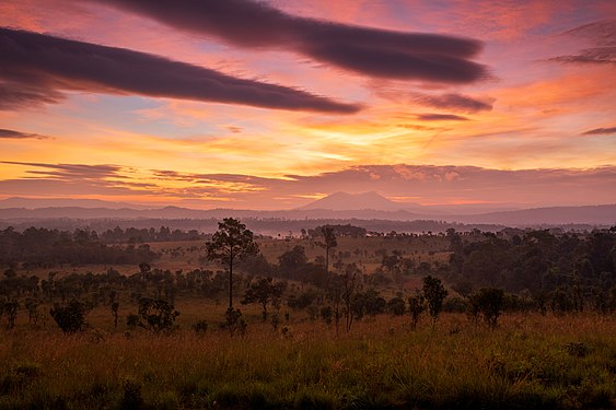 Sunrise at Thung Salaeng Luang National Park Photograph: วราชัย เคร่งวิรัตน์
