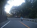 国道52号 万沢ヘアピンカーブ - panoramio.jpg