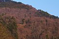 若松観音 Wakamatsu Kannon Temple - panoramio.jpg