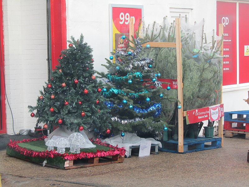 File:-2018-12-03 Christmas tree's for sale, Cromer (1).JPG