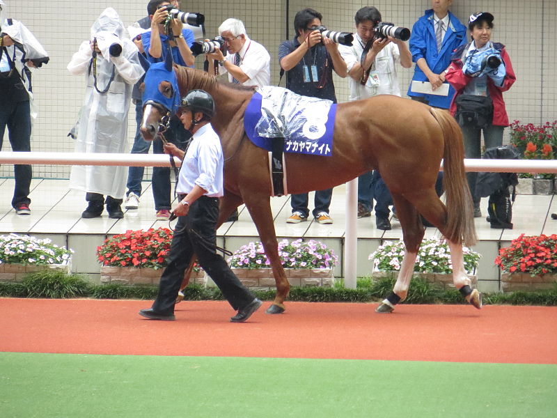 File:08 Nakayama Knight (June 23, 2013. 54th Takarazuka Kinen) (9117529880).jpg