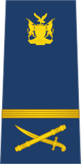 A Namibian Air Force air commodore's rank insignia.