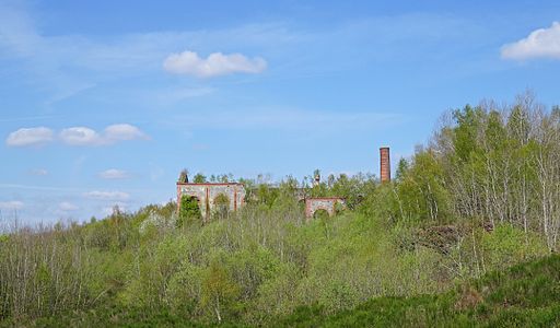 Ruins of the Arthur-de-Buyer coal mine, overgrown.