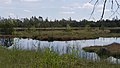 Wildsee im Wildseemoor im Schwarzwald