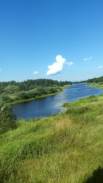 File:20160807 110716 Mologa River.jpg