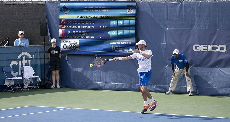 File:2016 Citi Open Stephane Robert (28343822851).jpg