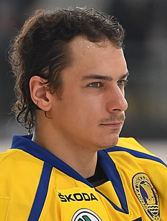 André Petersson Swedish ice hockey player