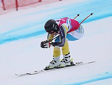 Adam Hofstedt 2020-01-10 Men's Super G (2020 Winter Youth Olympics) by Sandro Halank-0274.jpg