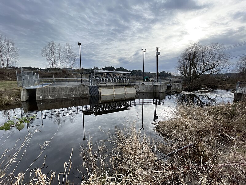 File:2023-01-31, Voight Creek, Pierce County, Washington, 02.jpg