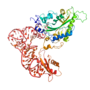 Vignette pour Phénylalanyl-ARNt synthétase