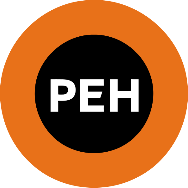 File:4-й логотип РЕН ТВ.svg