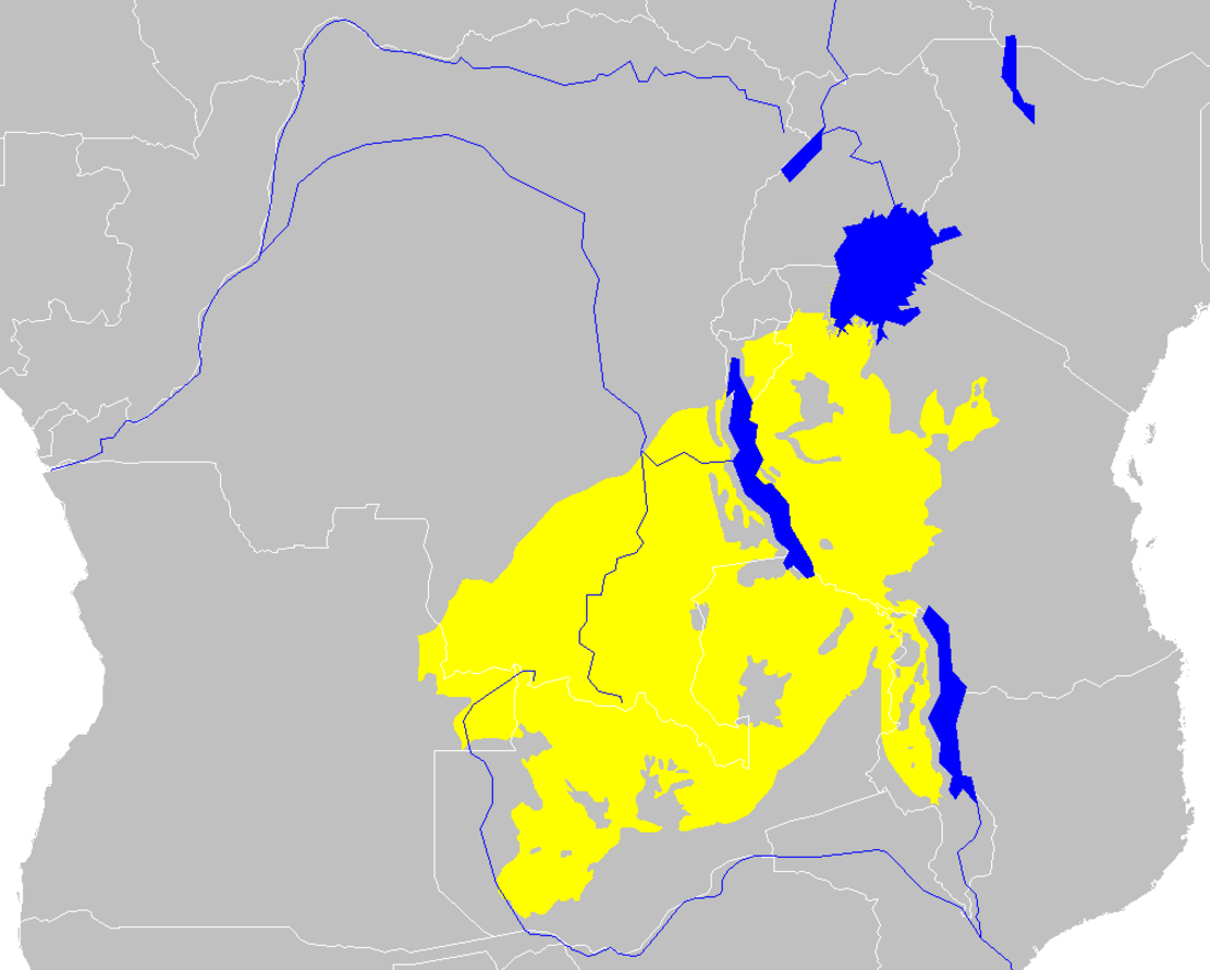 Boscos de miombo del Zambeze Central