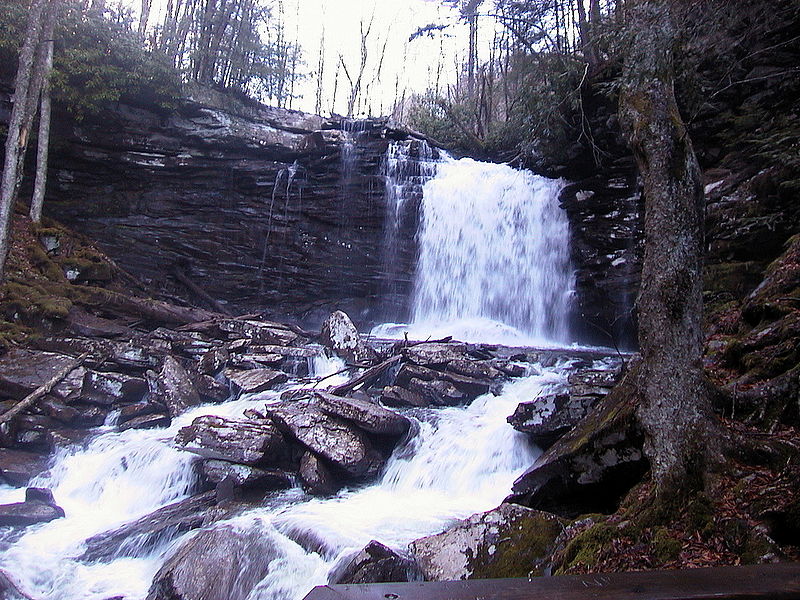 File:AUT 1908 ForestWander.JPG