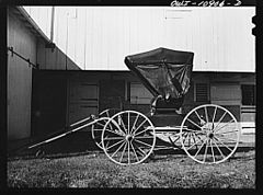 A farmer who rides into town every day in a buggy