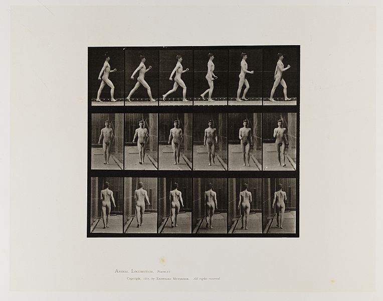 File:A naked man walking fast. Collotype after Muybridge, 1887. Wellcome L0075731.jpg