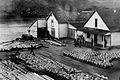 Alaksa Commercial Co and barrelled salmon, Hood Bay (crop).jpg