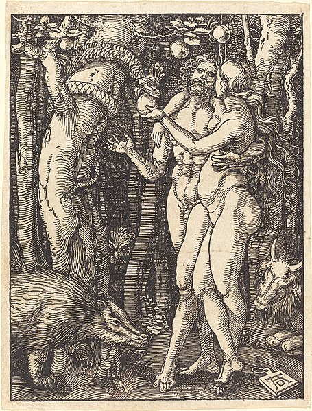 File:Albrecht Dürer, The Fall of Man, probably c. 1509-1510, NGA 6787.jpg