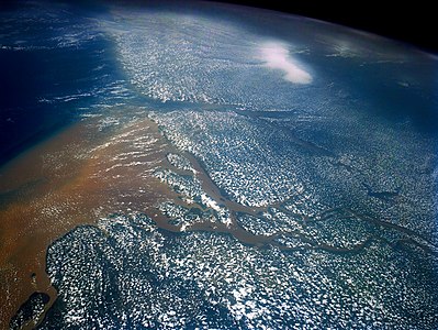 Amazon river delta from satellite