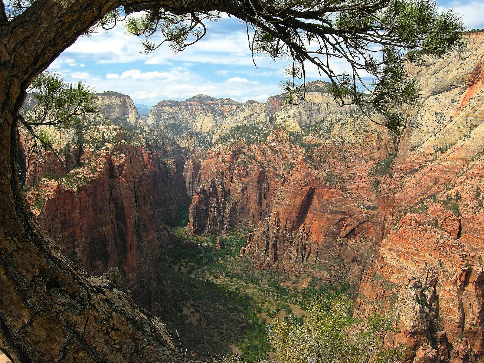 parque nacional zion que ver